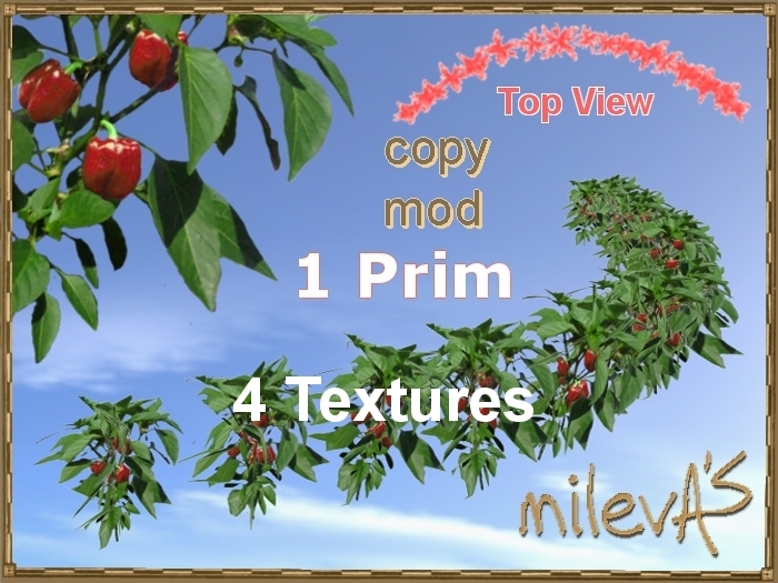 milevA's 1-Prim Multi 16 Curve 4 Pepper Red