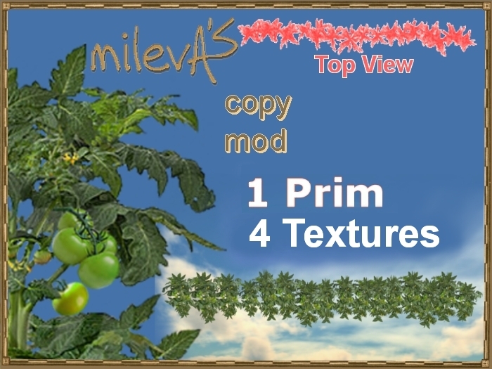 milevA's 1-Prim Multi 16 Line 4 Tomato Green