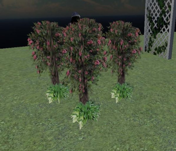 Second Life Marketplace 4 Flowers Plants Hostas + Bouganvilla Trees 1