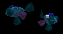 Wingsong 7Seas Critter - Sleeping With the Fishie Box