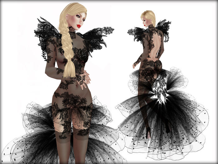 Boudoir -Lace Dream Dress