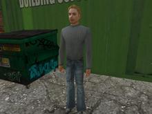 David simple man 3 prims