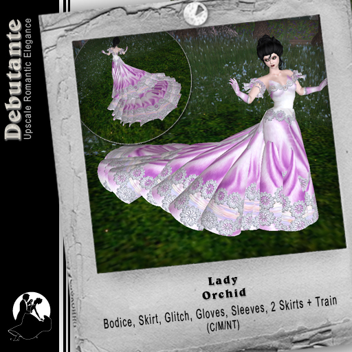 *Deb* Lady (BOXED) Orchid