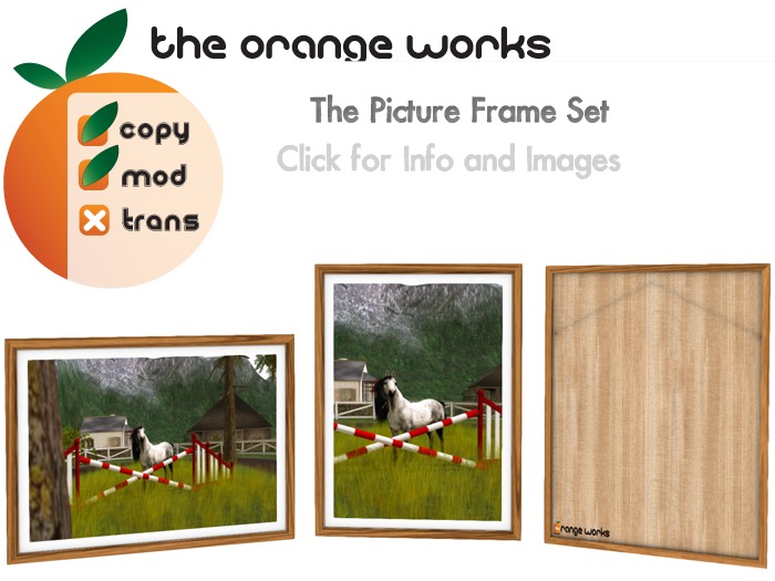 The Picture Frame Set (Mesh)