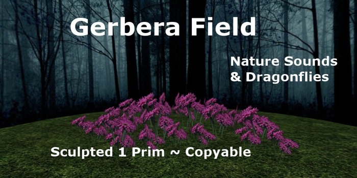 Gerbera Field Wine ~Sound & Dragonflies