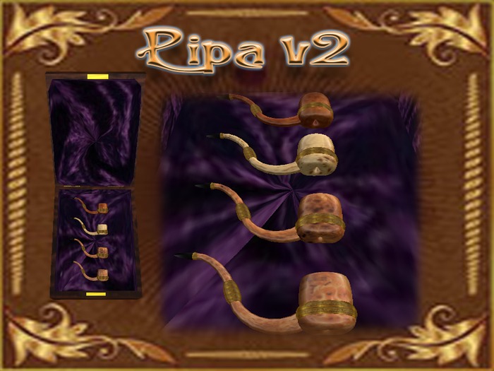 PIPA V2