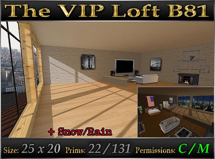 The VIP Loft B81 *Fully Furnished* Skybox