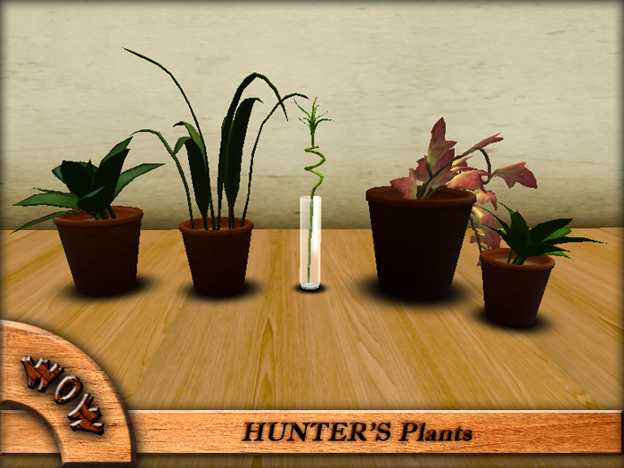 HUNTER'S Plants
