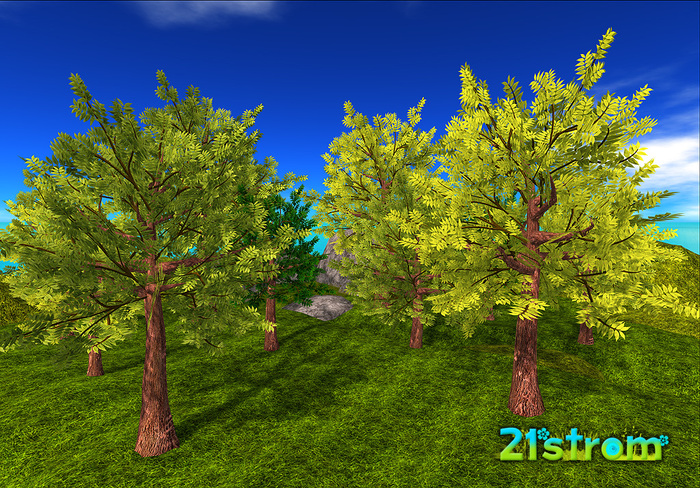 100% MESH Akacia tree - 3 GREEN colors MULTIPACK - Low prim mesh trees, copy, full modify