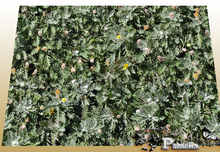 BUSH012
