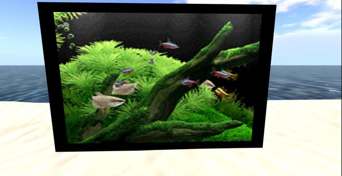 Fish Tank