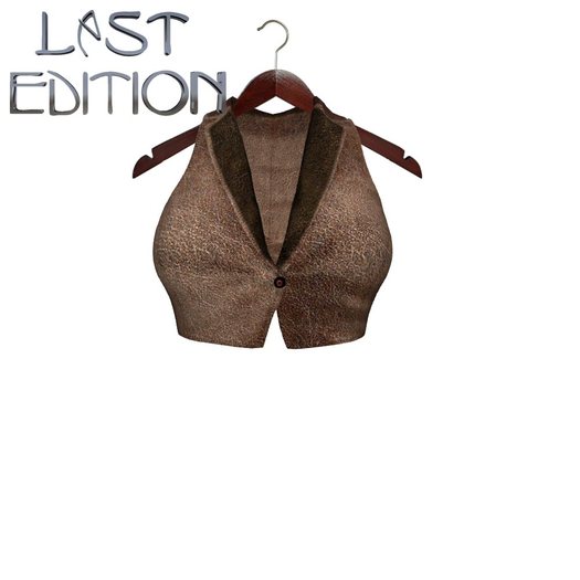 Last Edition Ladies - Brown Vest