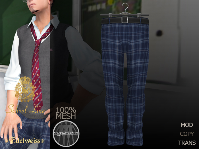 *Edelweiss* School-Line Pants Mens - navyblue