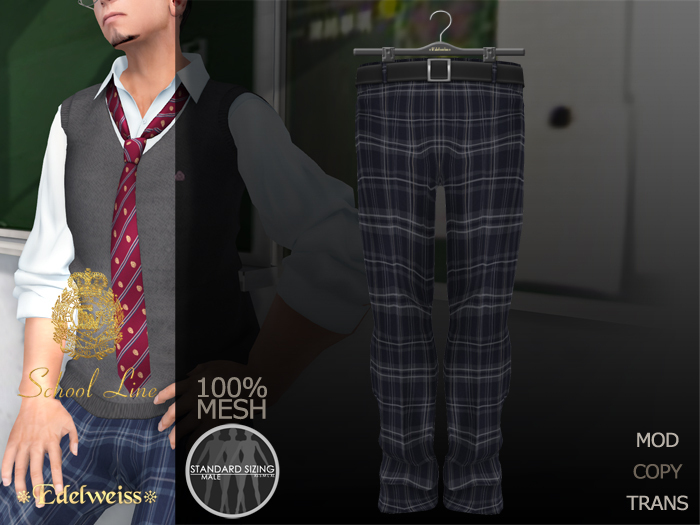 *Edelweiss* School-Line Pants Mens - navy