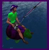 Wingsong 7Seas Fishing Critter - Turtle Box