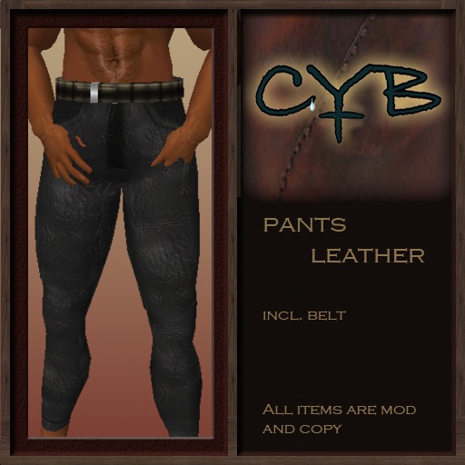 A49 CYB leather pants 2