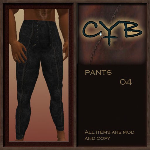 A55 CYB leather pants