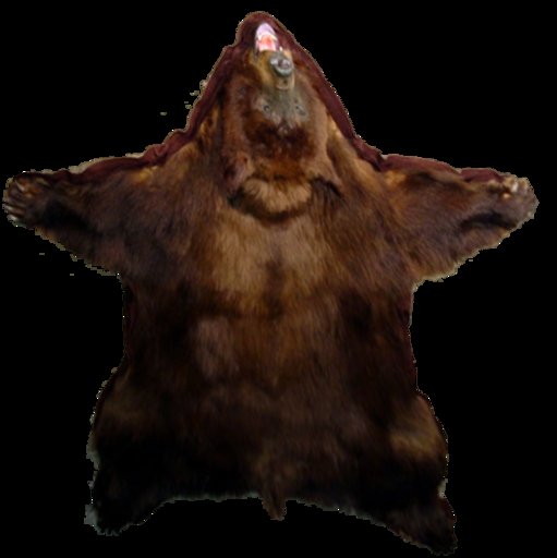 Bearskin rug