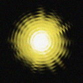 Texture - Goldburst dancefloor.