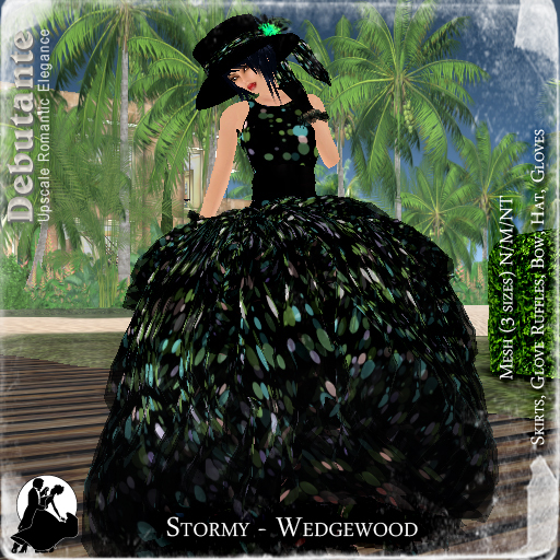 *Deb* Stormy BOXED Wedgewood