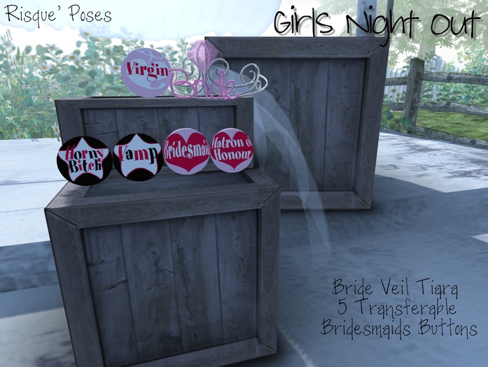 Risque Poses - Mirror Mirror Bride Singles