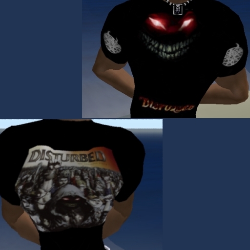 DISTURBED T-SHIRT