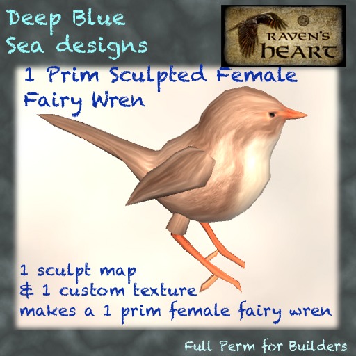 *RH* & DBS sculpted Fairy Wren Female (crated)