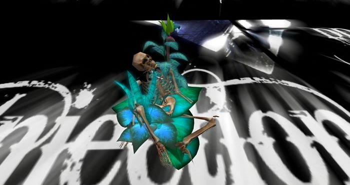 skeleton exotic flowers