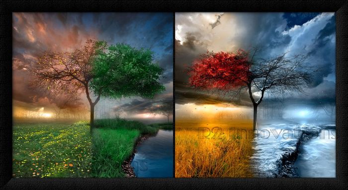 Seasons Framed Art