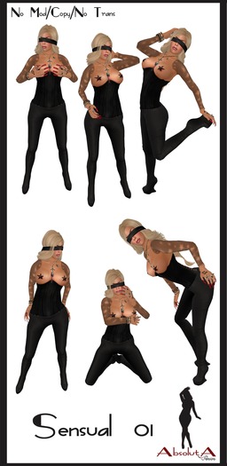 [Absoluta] Poses - Sensual 01 - Bag
