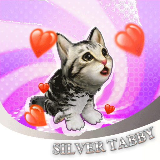 A.I.F SILVER TABBY KITTY
