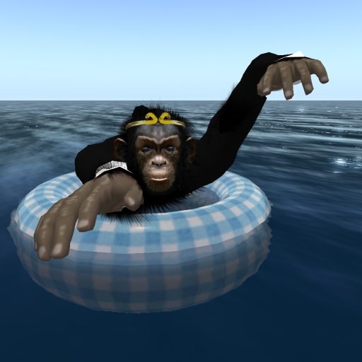 REZ_Vendor_SWIM_BB