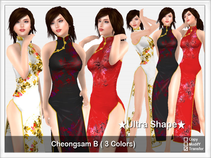 *Ultra Shape* Cheongsam B
