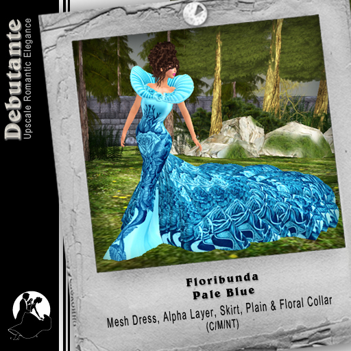 *Deb* Floribunda (Boxed) Blue