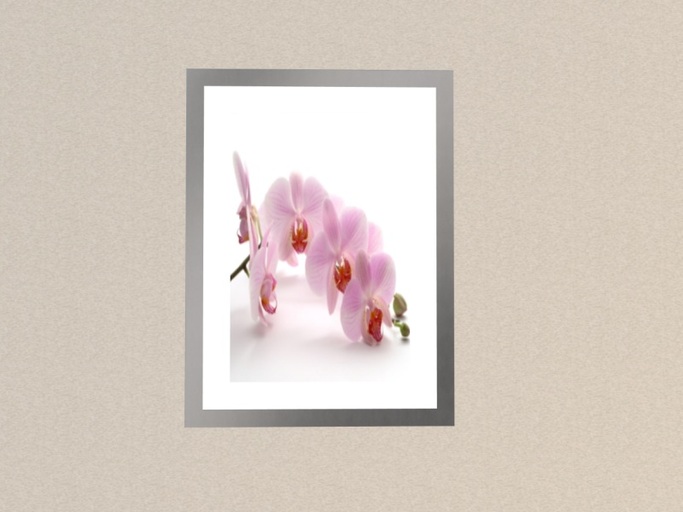 Framed Picture * Orchidee