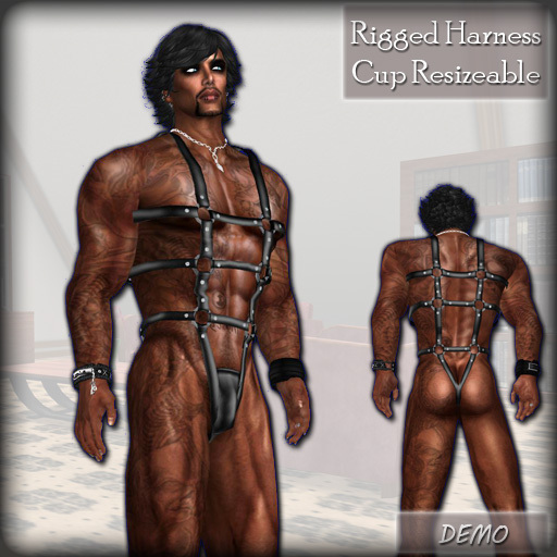 Caprica - Rigged Meshed Male Harness (DEMO)