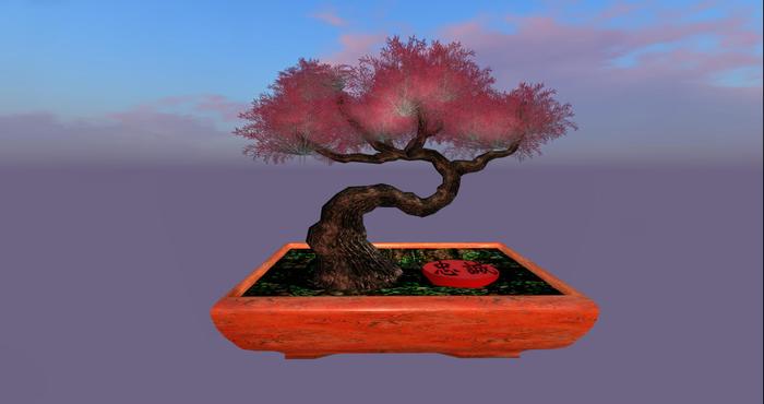 (Token Gesture) Bonsai Tree (Loyalty)