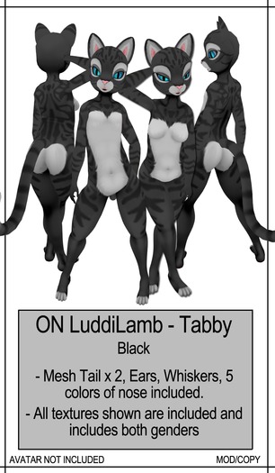 [CAEK!] - ON LuddiLamb - Cotton CandyTabby