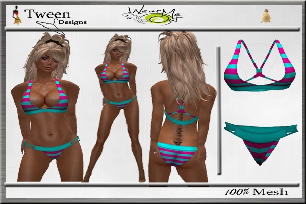 Tween Designs !!!........Bikini Pink / Blue