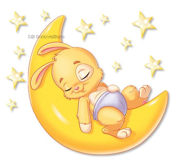 Bunny Napping On The Moon