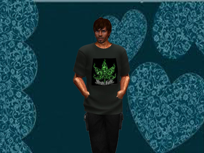 420 HIGH LIFE TEE Grey SHIRT ONLY