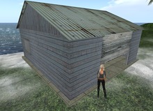 GH Shed with roll-up door