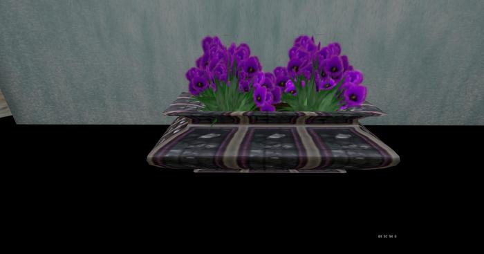RC Purple Tulips In Stained Glass Long  Chino 14