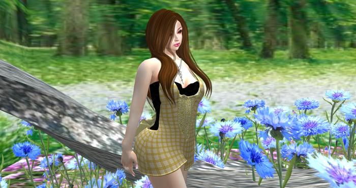 *Sweet CAT*RosyPlaidyellow