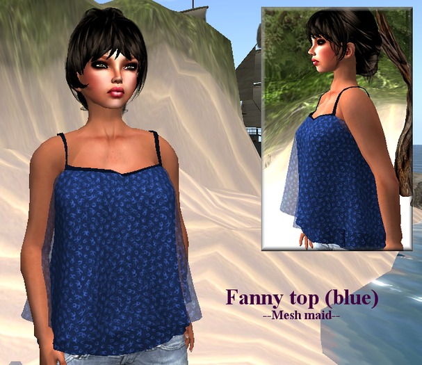 Fanny top (blue) Mesh