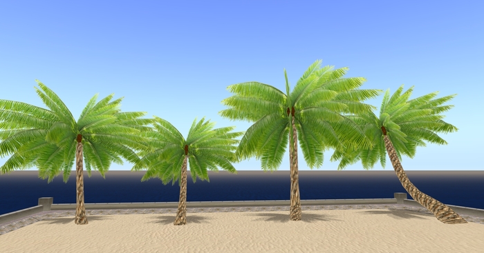 PALMS - 4 PIECES