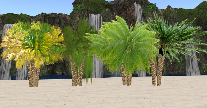 PALMS 4 PIECES 2