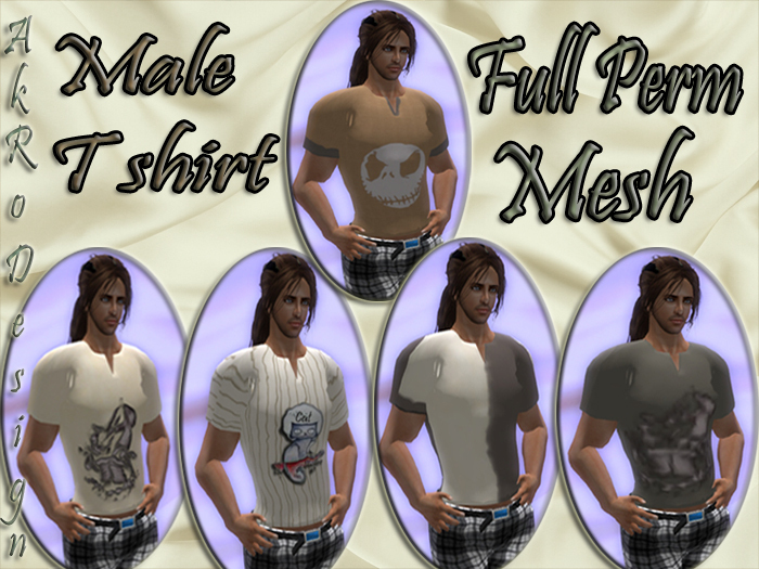 AkRo  Rigget MESH  Full perm Male t shirt _