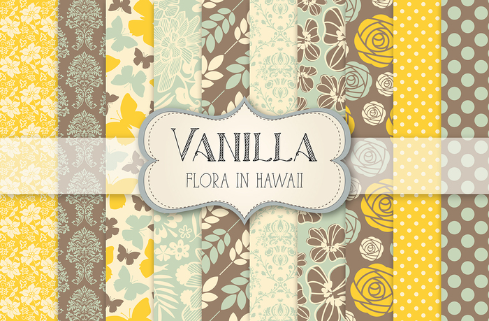 Vanilla - Flora In Hawaii