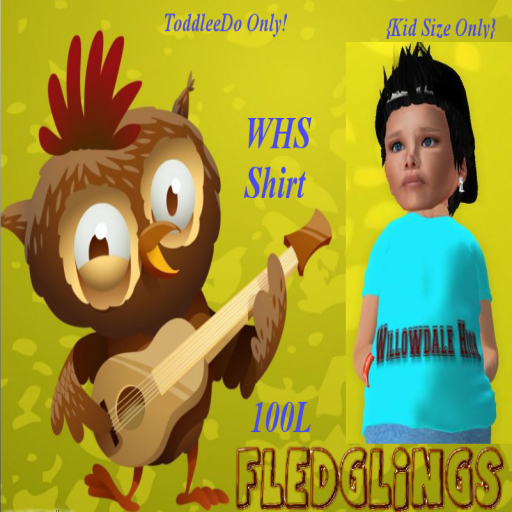 TD willowdale{Boxed}